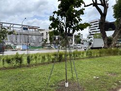 One Tannery (D13), Factory #454847091